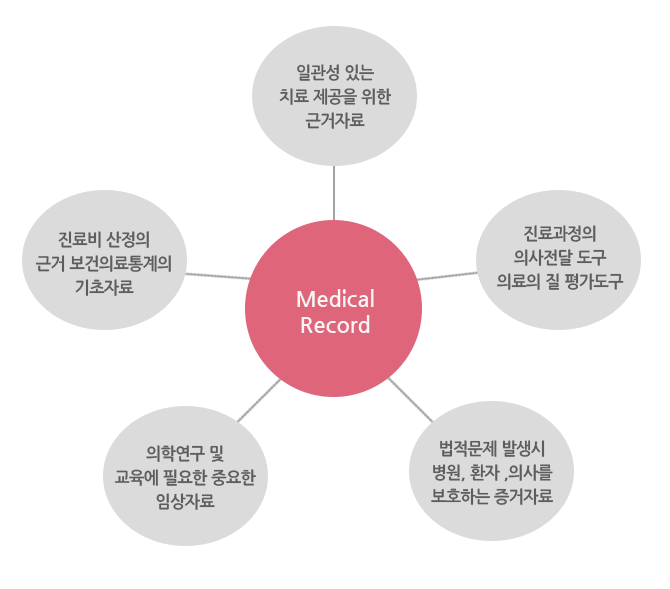 Medical Record �̹���